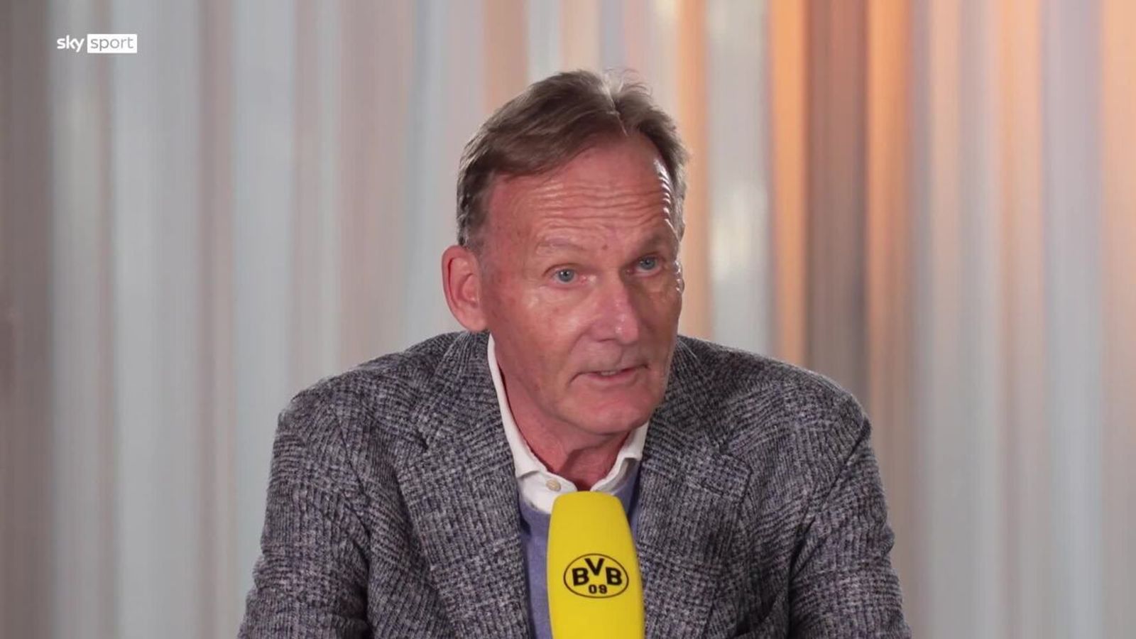 Borussia Dortmund | Geschäftsführer Watzke Verkündet Abschied Im Herbst ...