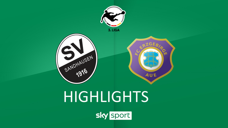 Spieltag 22: SV Sandhausen - Erzgebirge Aue
