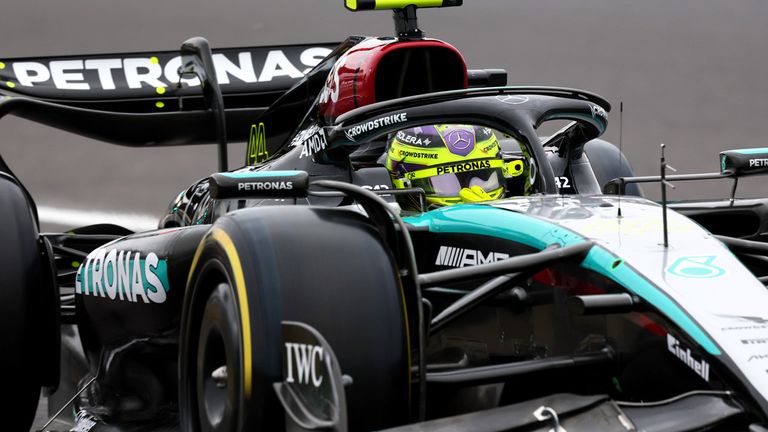 Lewis Hamilton (Mercedes) in Japan.