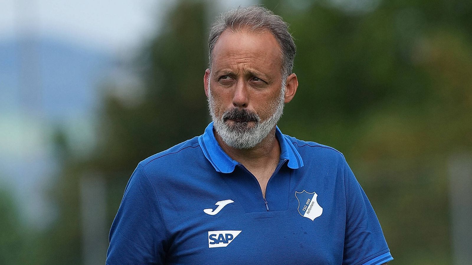 Pellegrino Matarazzo von Hoffenheim Kandidat zum amerikanischen ...