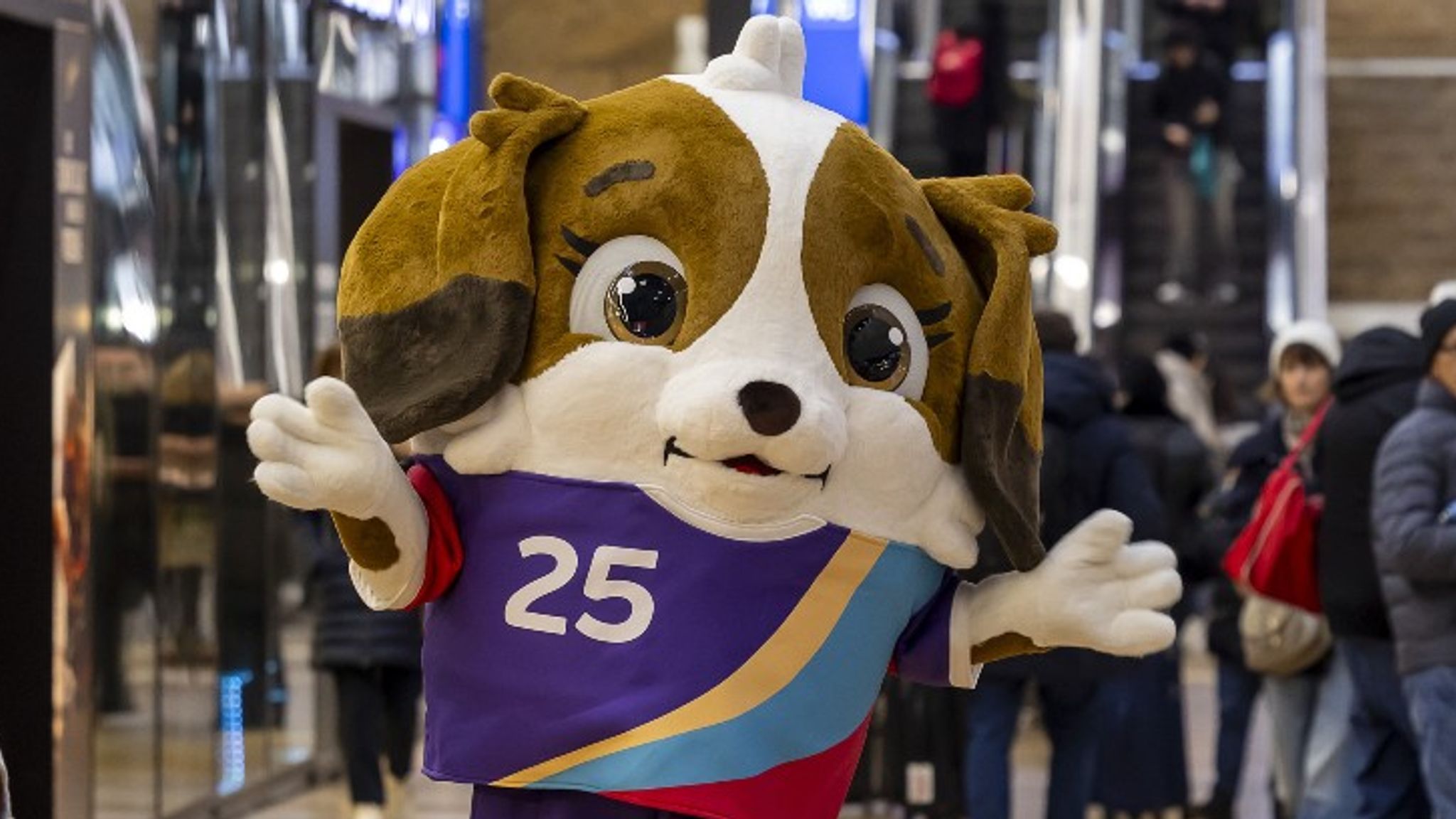 Bernhardinerwelpin Maddli wird Maskottchen der Frauen EM 2025 in der