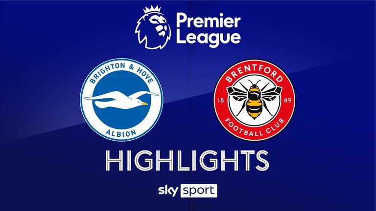 Match Day 18: Brighton & Hove Albion - FC Brentford - 2024/25 - Premier League