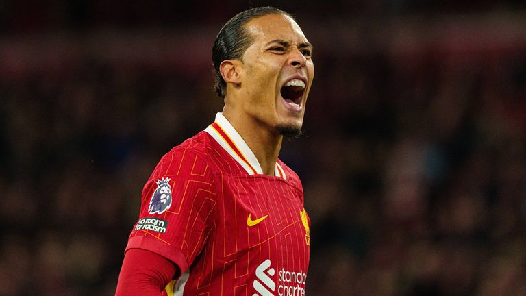 Abwehr: Virgil van Dijk (FC Liverpool)