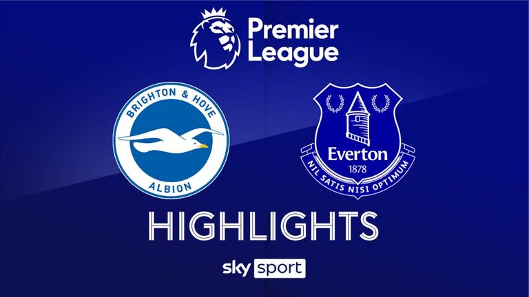 Match Day 23: Brighton & Hove Albion - FC Everton - 2024/25 - Premier League