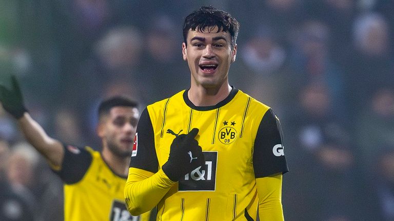 Giovanni Reyna wechselte im Sommer 2019 in die Jugendabteilung von Borussia Dortmund.