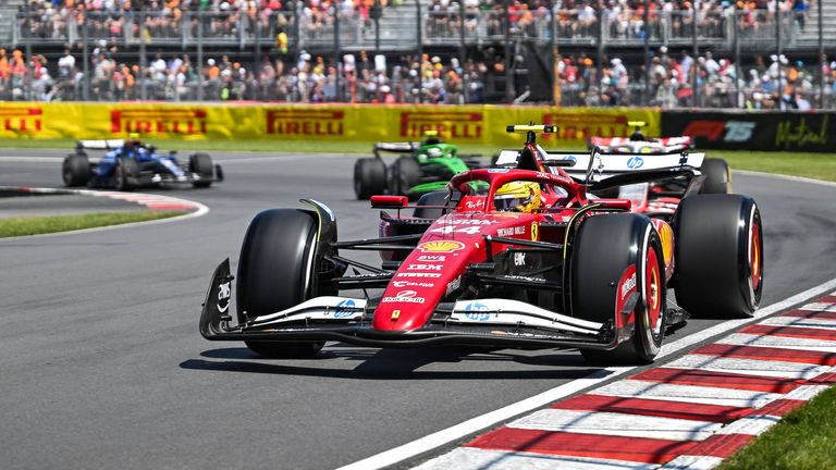 "Mir wurde berichtet, dass ich ein Murmeltier überfahren habe", sagte Lewis Hamilton.