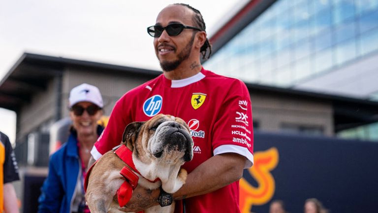 Lewis Hamilton trauert um seinen Hund Roscoe.