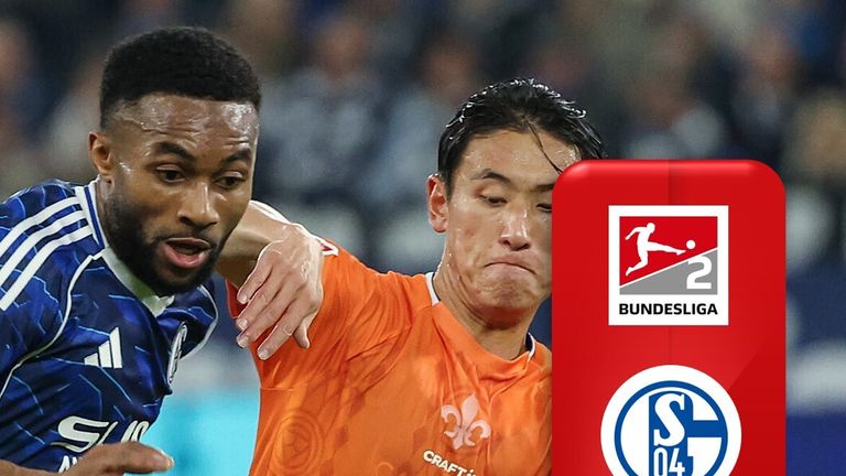 FC Schalke 04  1:0  Darmstadt 98 - Highlights