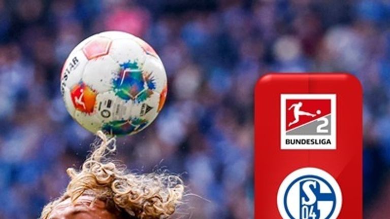 HIGHLIGHTS | Schalke - Elversberg | 2. Bundesliga, 12. Spieltag