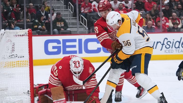 Die Detroit Red Wings kassieren eine bittere Pleite im Playoff-Rennen.