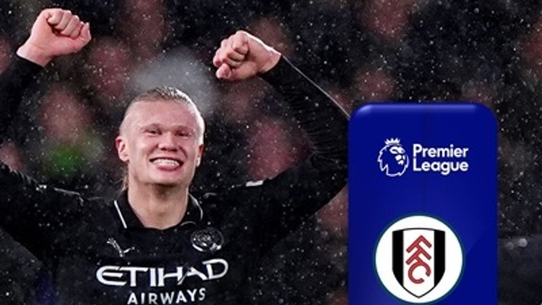 Highlights | FULHAM - MAN CITY | Premier League, 14. Spieltag