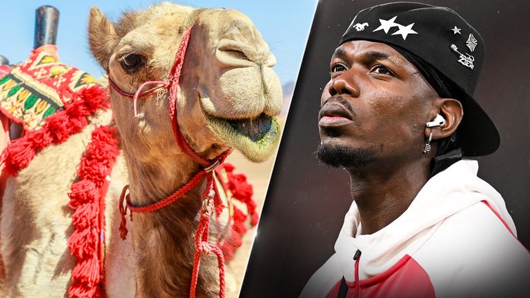 Paul Pogba (r.) steigt bei einem Kamelrennstall in Saudi-Arabien ein.