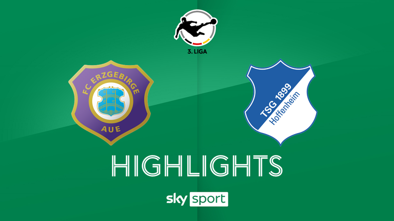 Spieltag 31: FC Erzgebirge Aue - TSG Hoffenheim II - 2025/26 - 3. Liga