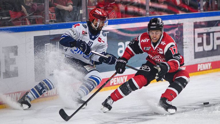 Die Kölner Haie gegen die Schwenninger Wild Wings bei den DEL-Playoffs.
