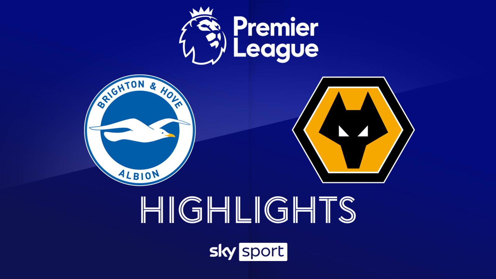 Weiter im Rennen um die Königsklasse! Brighton schlägt Wolves | Fußball ...