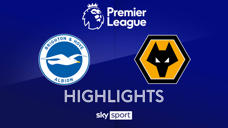 Match Day 36: Brighton & Hove Albion - Wolverhampton Wanderers - 2025/26 - Premier League