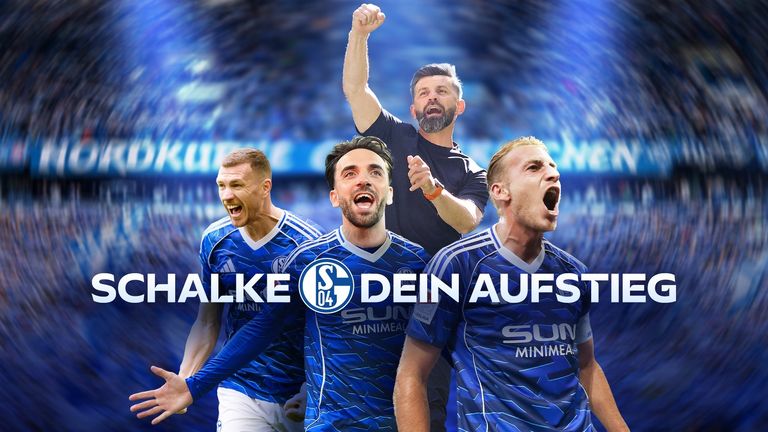 Schalke - Dein Aufstieg