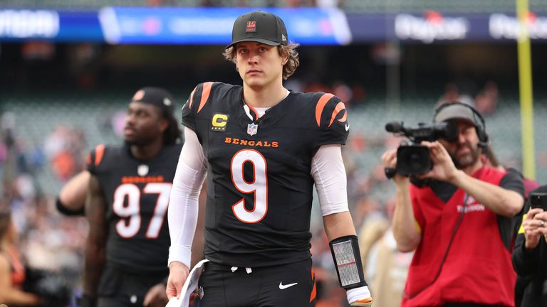 CINCINNATI BENGALS - Franchise-Wert: 7,4 Milliarden Dollar (6,42 Milliarden Euro) / Steigerung zum Vorjahr: 35 Prozent