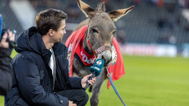 Eselstute Andile, das Klubmaskottchen der SG Sonnenhof Großaspach fungierte vor dem Spiel als Orakel.
